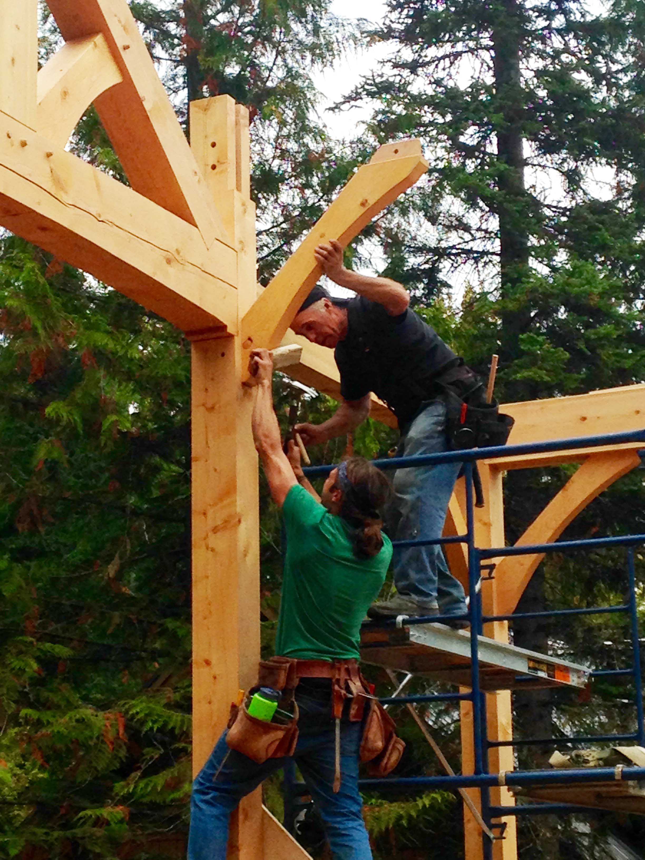 About Us Black Pine Builders